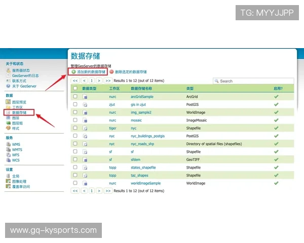 琑队如何建立球员职业化的评估与支持体系，球队人员配置